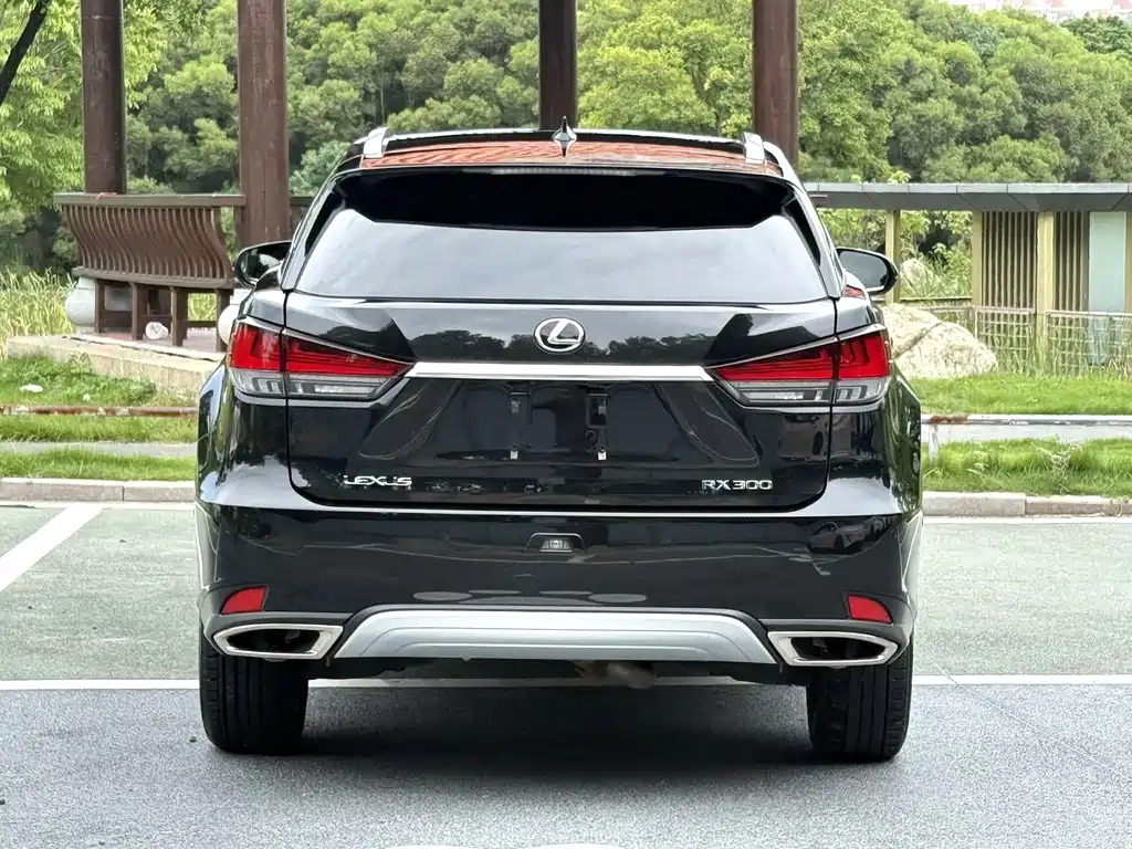 Lexus RX 2022 — фото 7