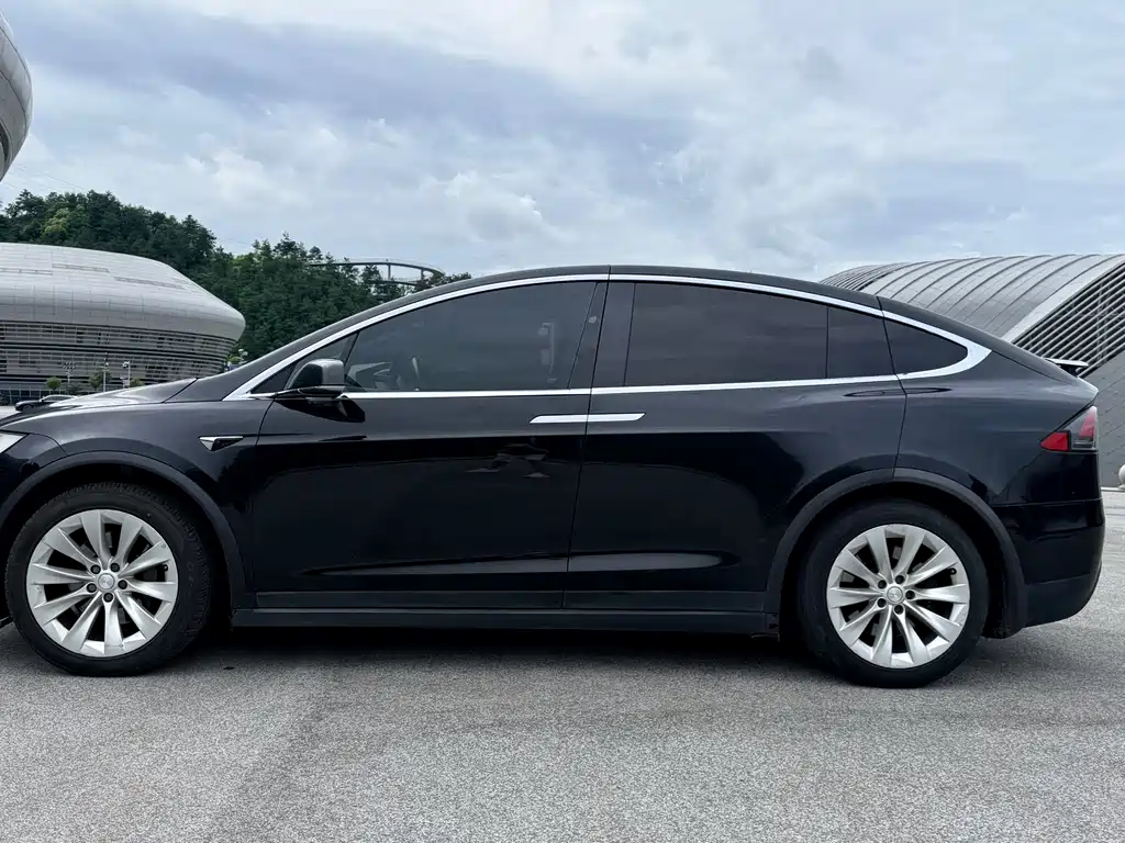 Tesla Model X 2017 — фото 6