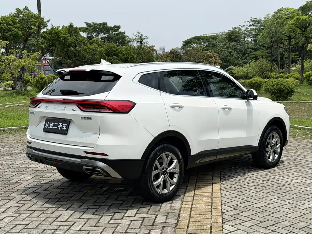 Haval H6 2021 — фото 12