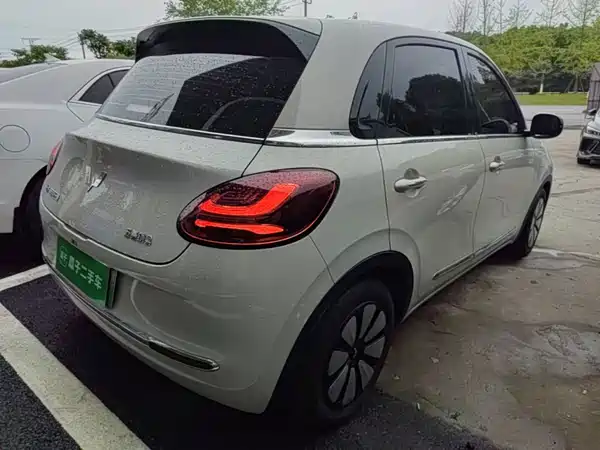 Wuling Bingo 2024