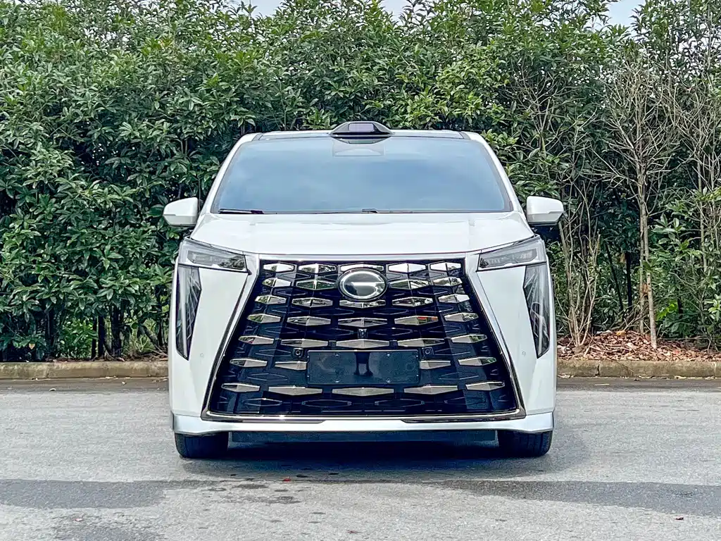 GAC Motor Xiangwang M8 2025 — фото 2