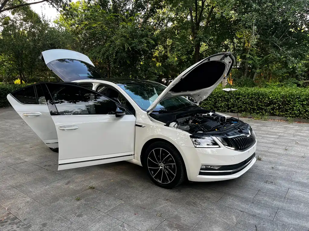 Skoda Octavia 2021 — фото 19