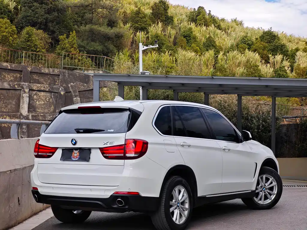 BMW X5 2017 — фото 5