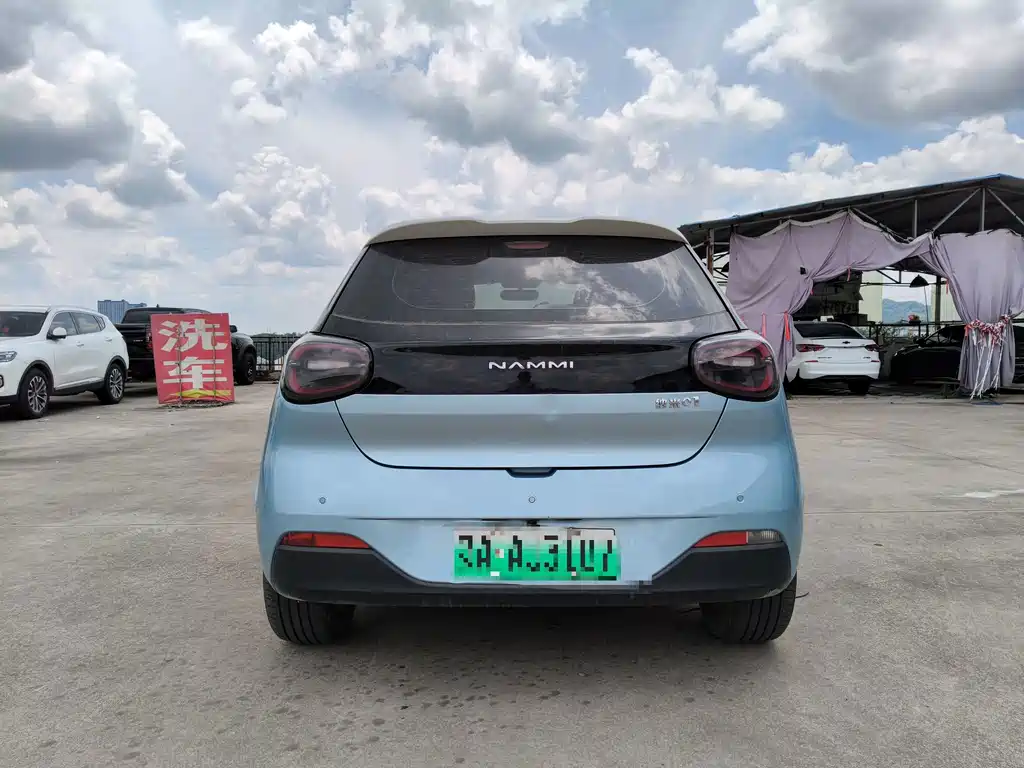 Dongfeng Nano 01 2024