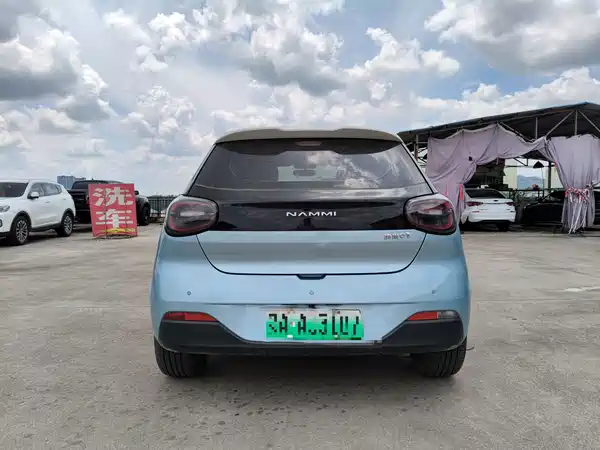 Dongfeng Nano 01 2024
