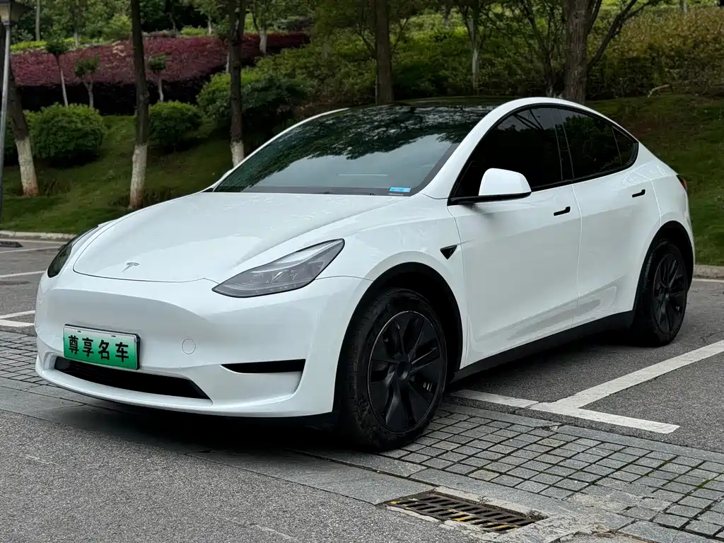 Tesla Model Y 2024 — фото 1