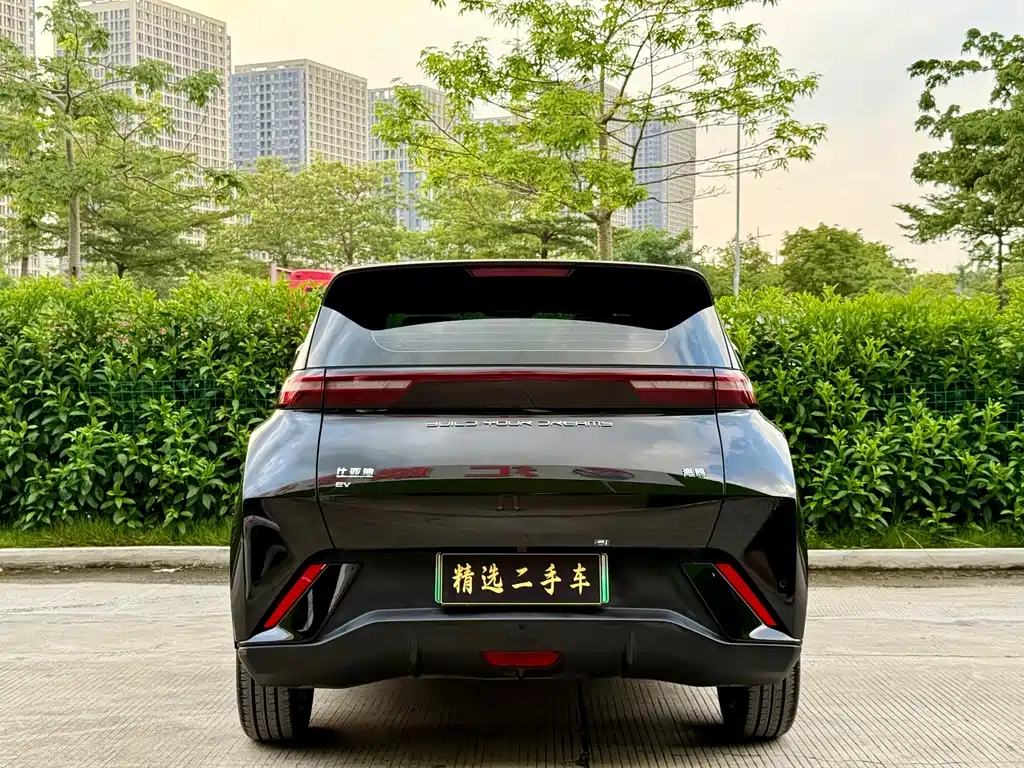 BYD Seagull 2024