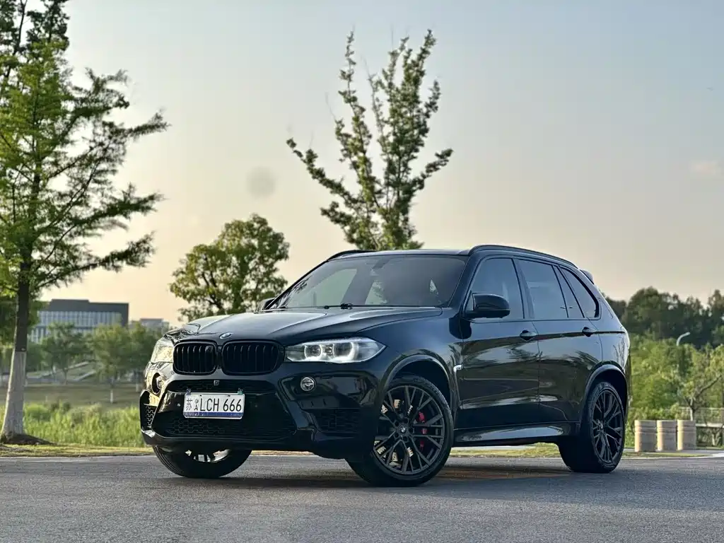BMW X5 2014