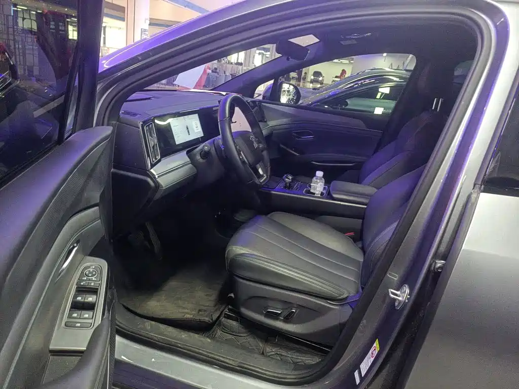 BYD L DM-i 2025 — фото 16