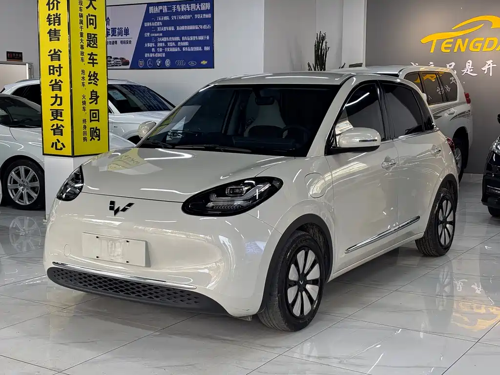 Wuling Bingo 2024