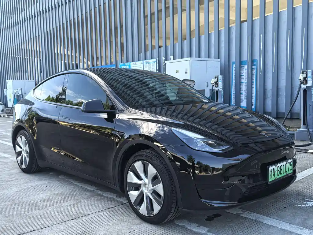 Tesla Model Y 2023 — фото 3