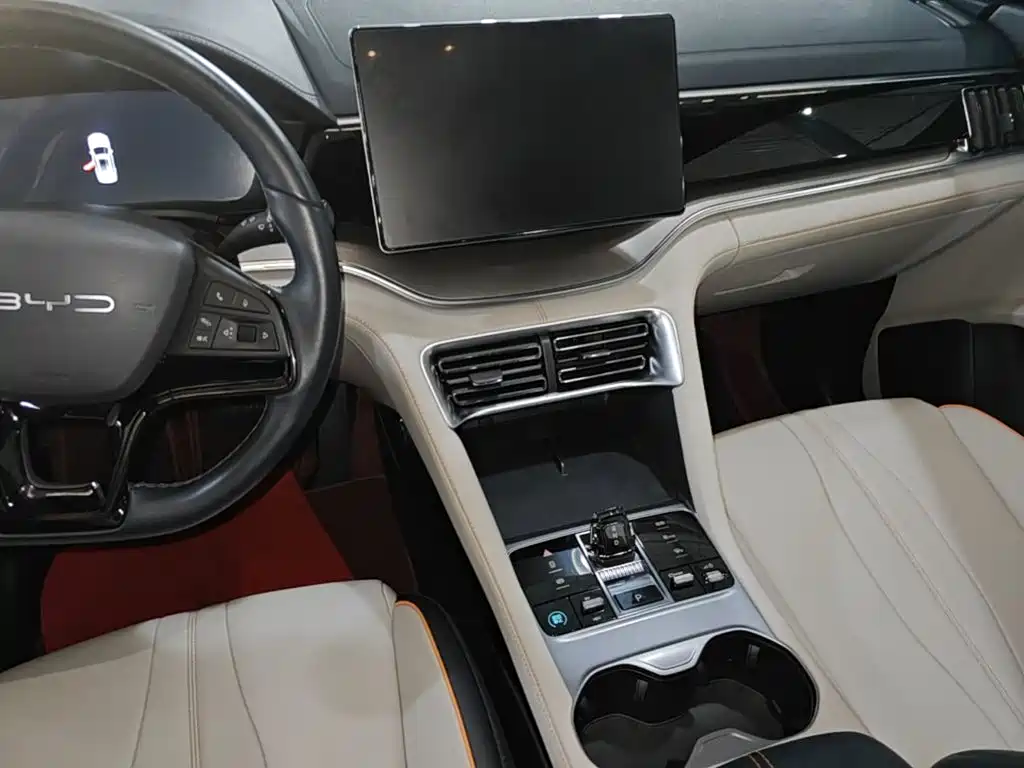 BYD PLUS New Energy 2024 — фото 13