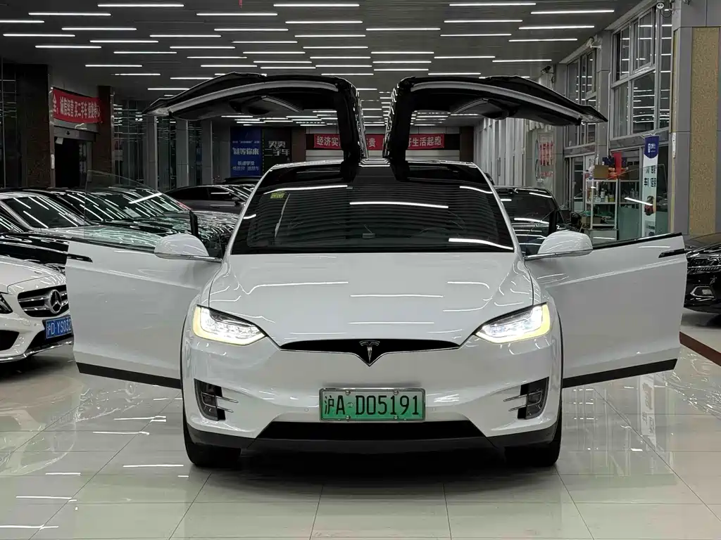 Tesla Model X 2017 — фото 20