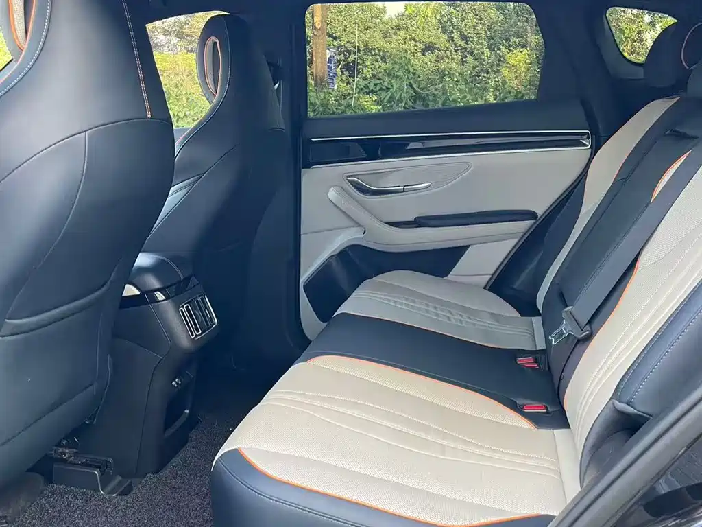 BYD Song PLUS New Energy 2022 — фото 6