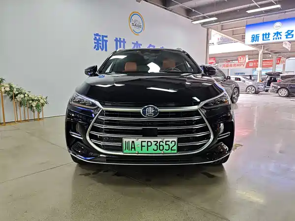BYD Tang New Energy 2023