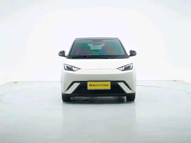 BYD Seagull 2024