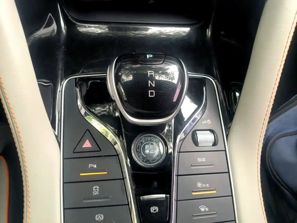 BYD PLUS New Energy 2022 — фото 10