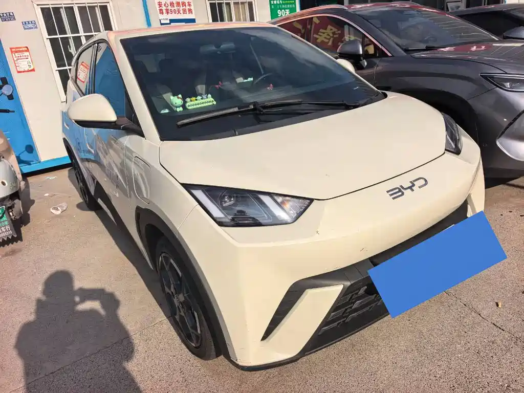 BYD Seagull 2024