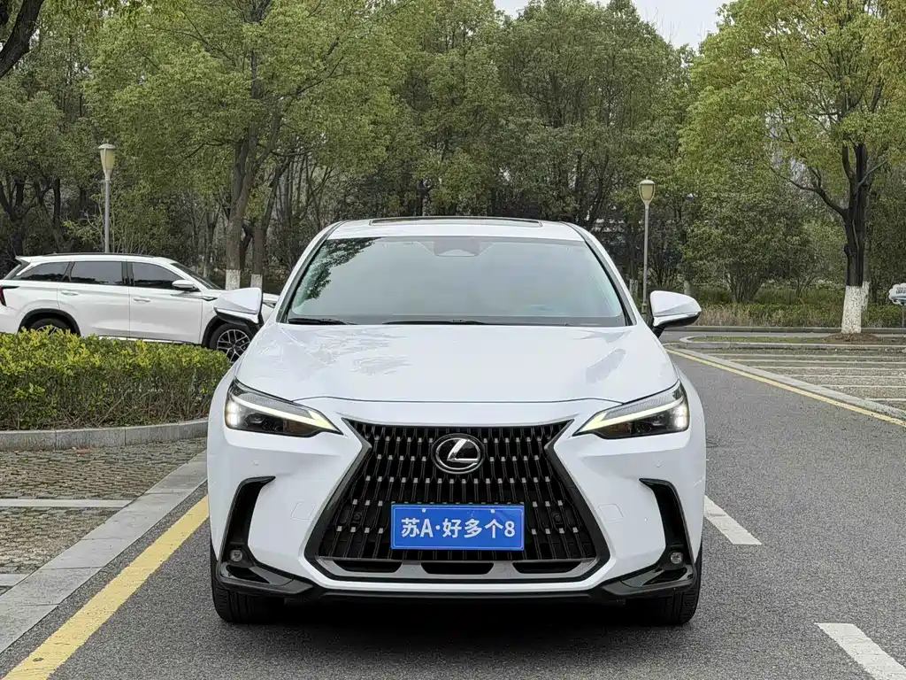 Lexus NX 2022 — фото 2