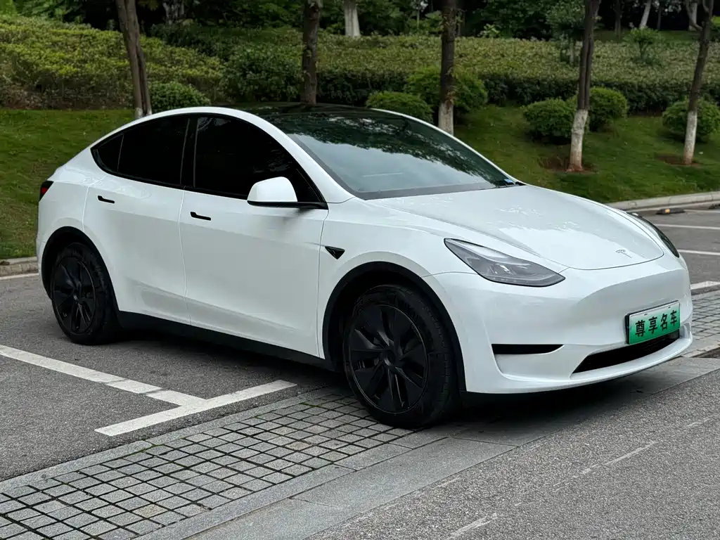 Tesla Model Y 2024 — фото 3