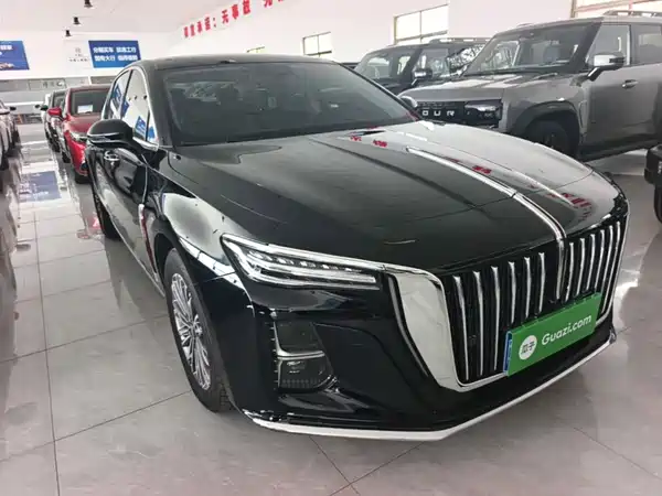 Hongqi H5 2024
