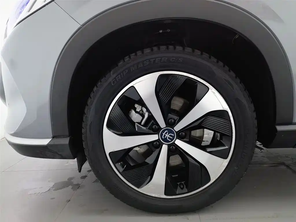 BYD PLUS New Energy 2023 — фото 17