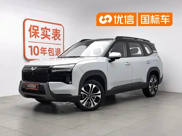 Wuling Starlight 560 New Energy 2025