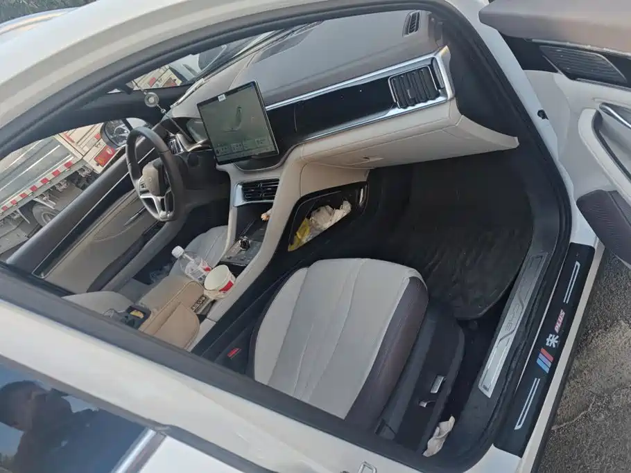 BYD Song PLUS New Energy 2025 — фото 8