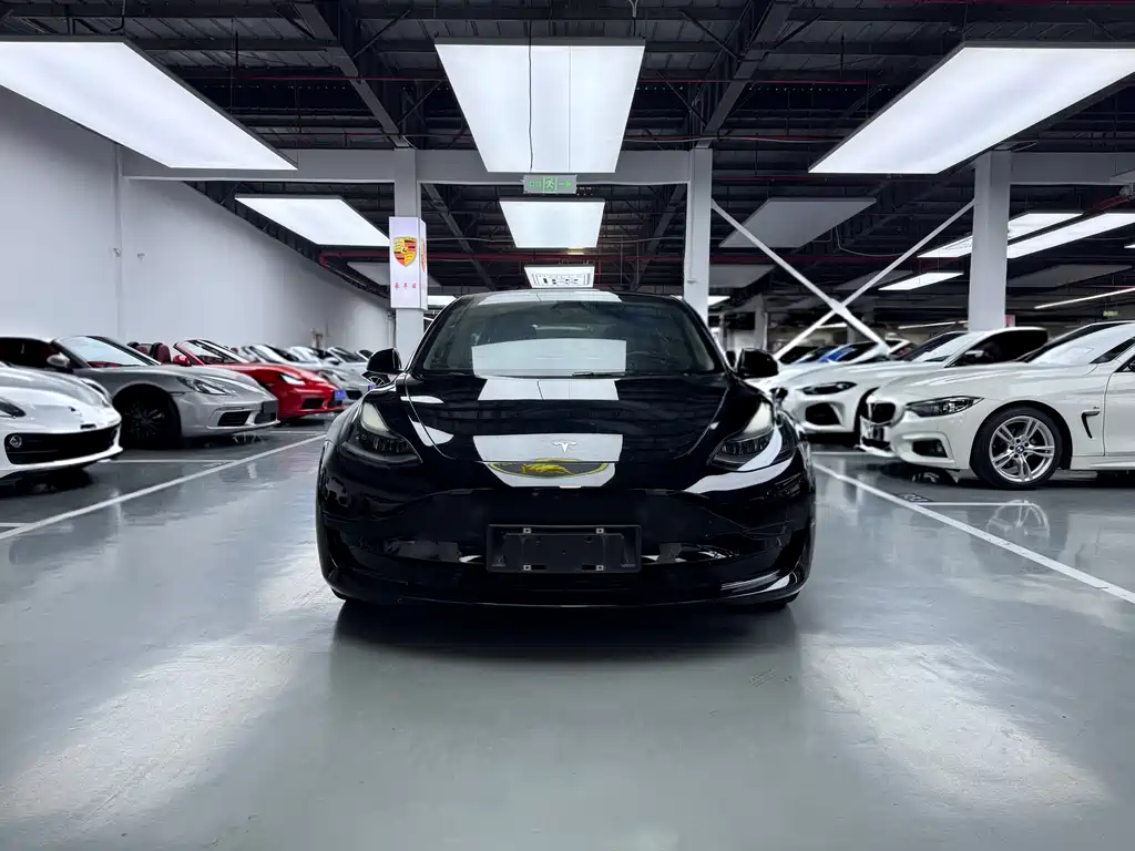 Tesla Model 3 2021 — фото 2