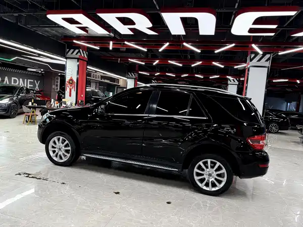 Mercedes-Benz M-Class 2010