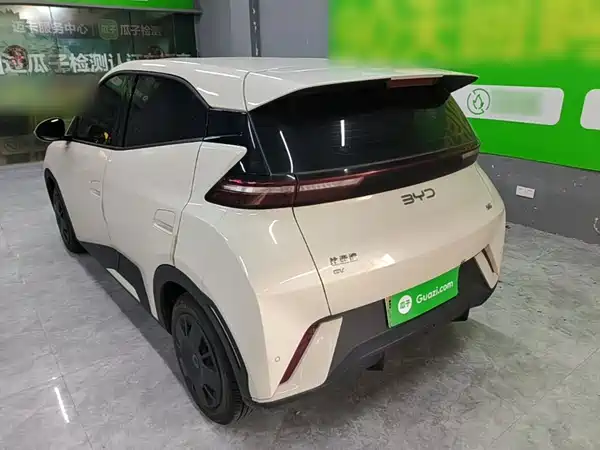BYD Seagull 2024