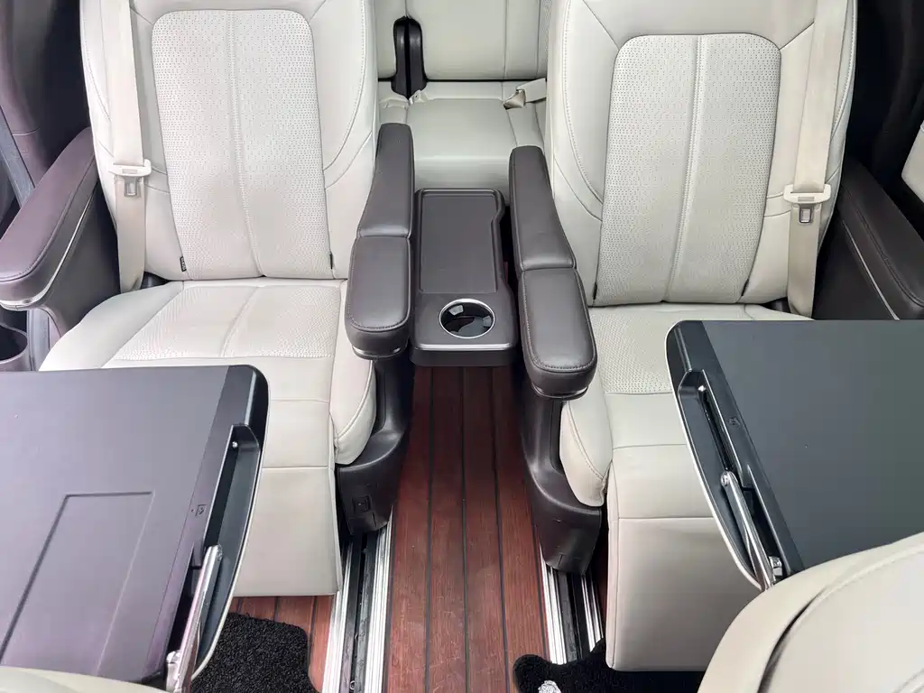 GAC Motor Trumpchi M8 2021 — фото 12