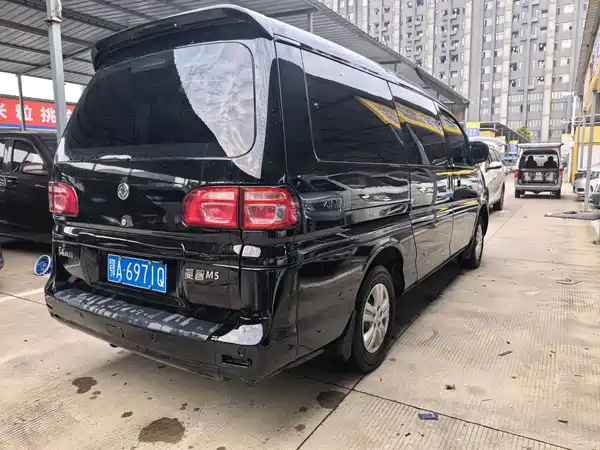 Dongfeng Lingzhi 2018
