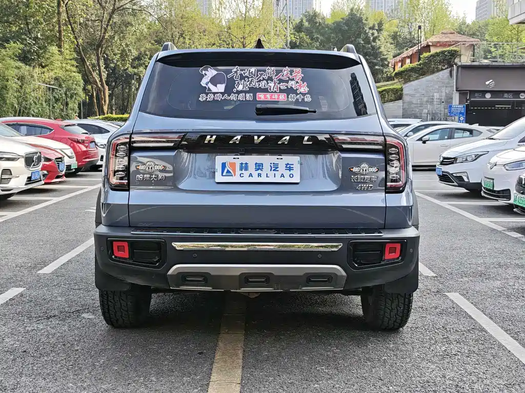 Haval Big Dog 2022 — фото 32