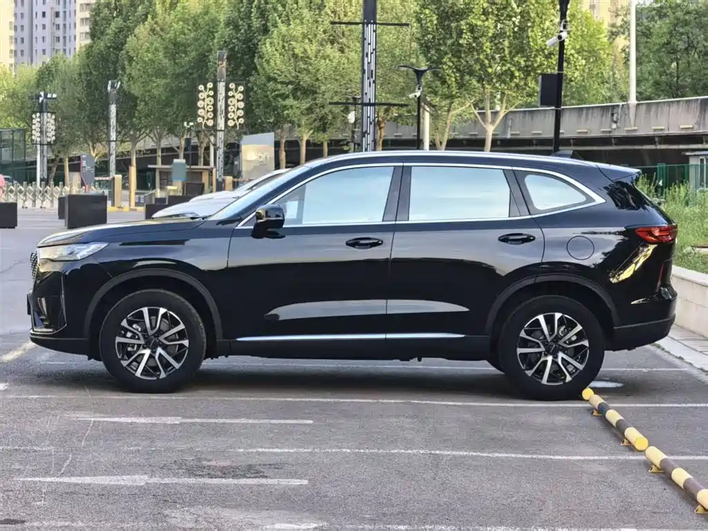 Haval H6 2024 — фото 11