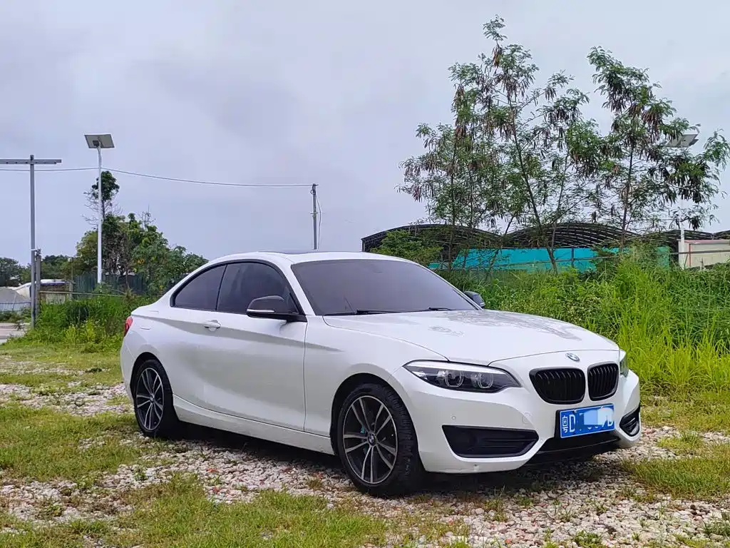 BMW 2 Series 2019 — фото 2