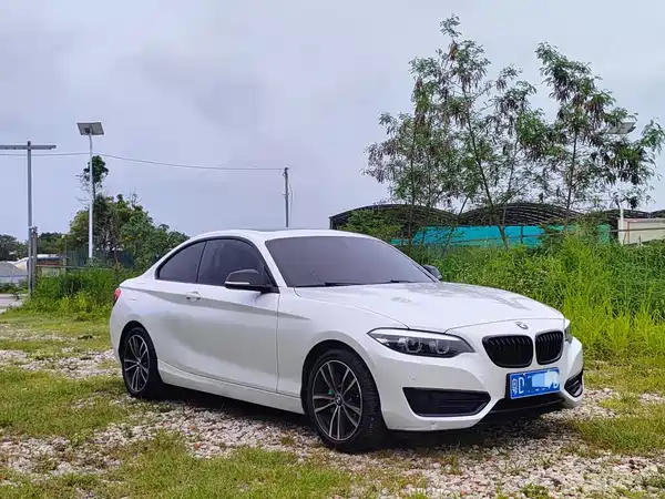 BMW 2 Series 2019