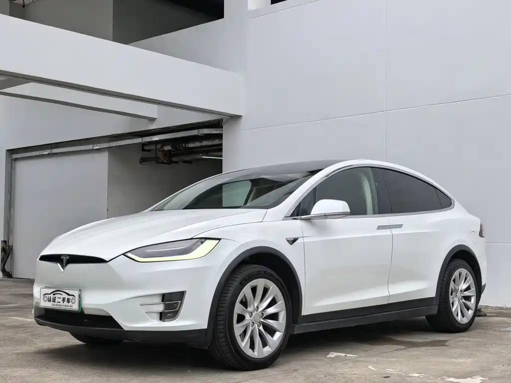 Tesla Model X 2019 — фото 1