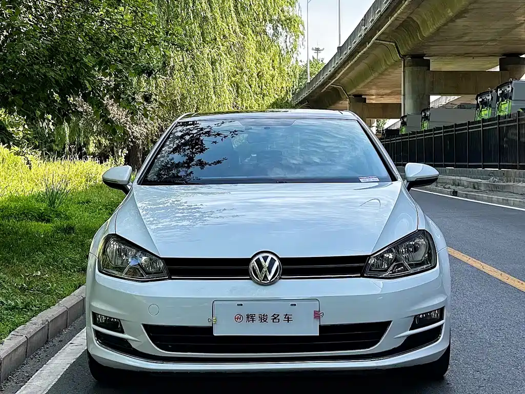 Volkswagen Golf 2015 — фото 2