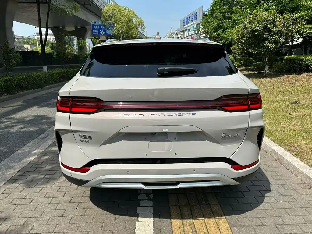 BYD PLUS New Energy 2023 — фото 14