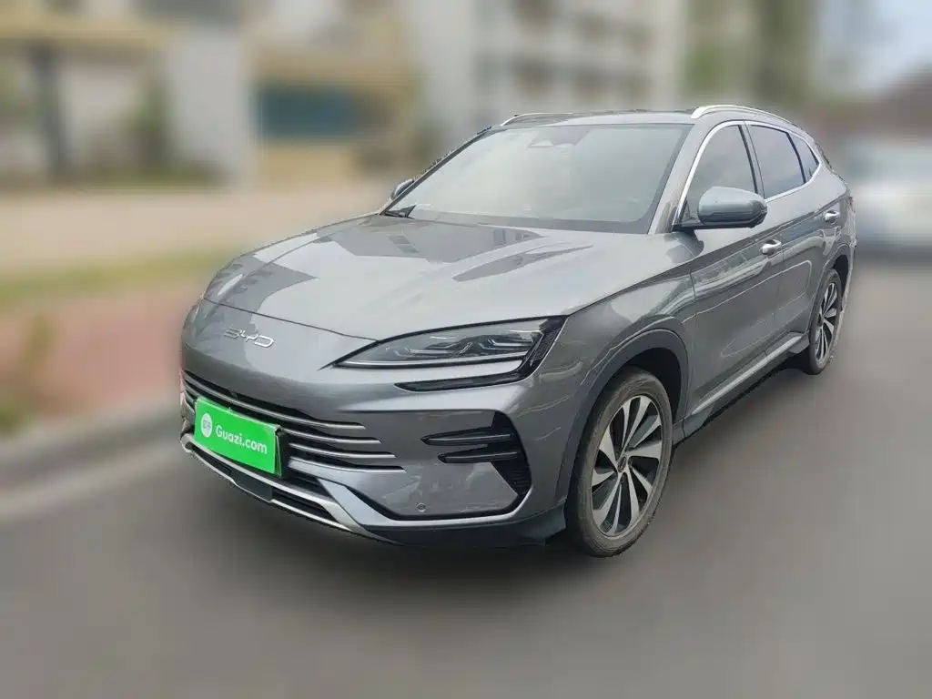 BYD Song PLUS New Energy 2023 — фото 2