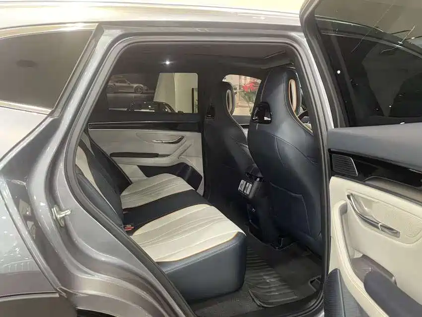 BYD PLUS New Energy 2024 — фото 18