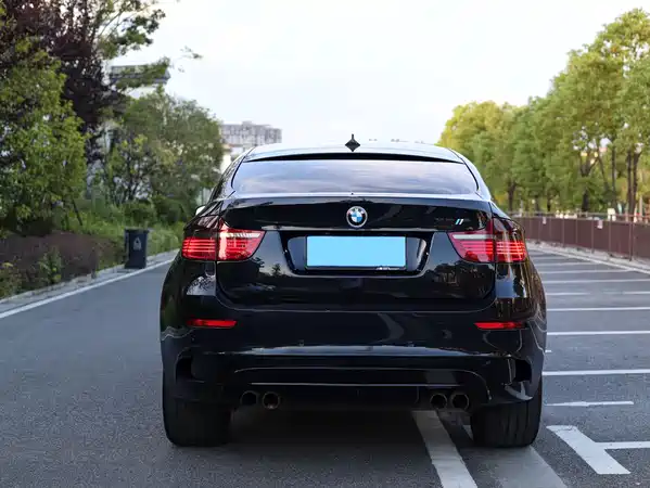 BMW X6 M 2010