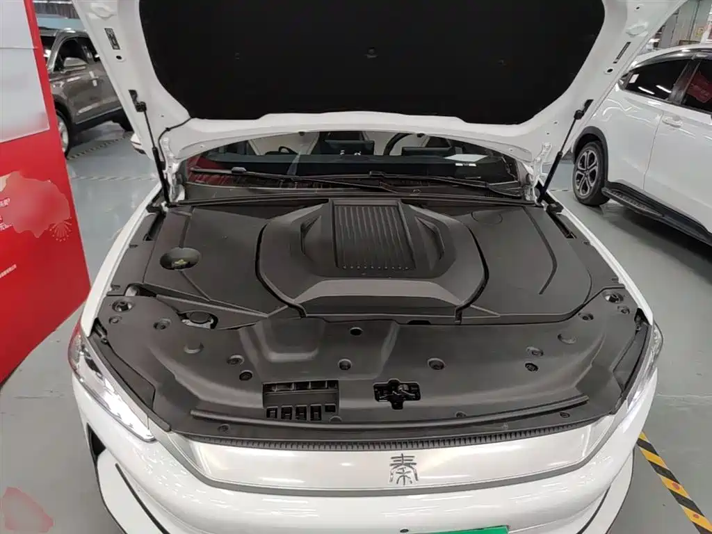 BYD Qin PLUS 2024 — фото 20