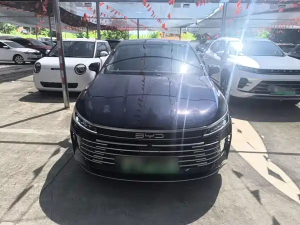 BYD Destroyer 05 2024