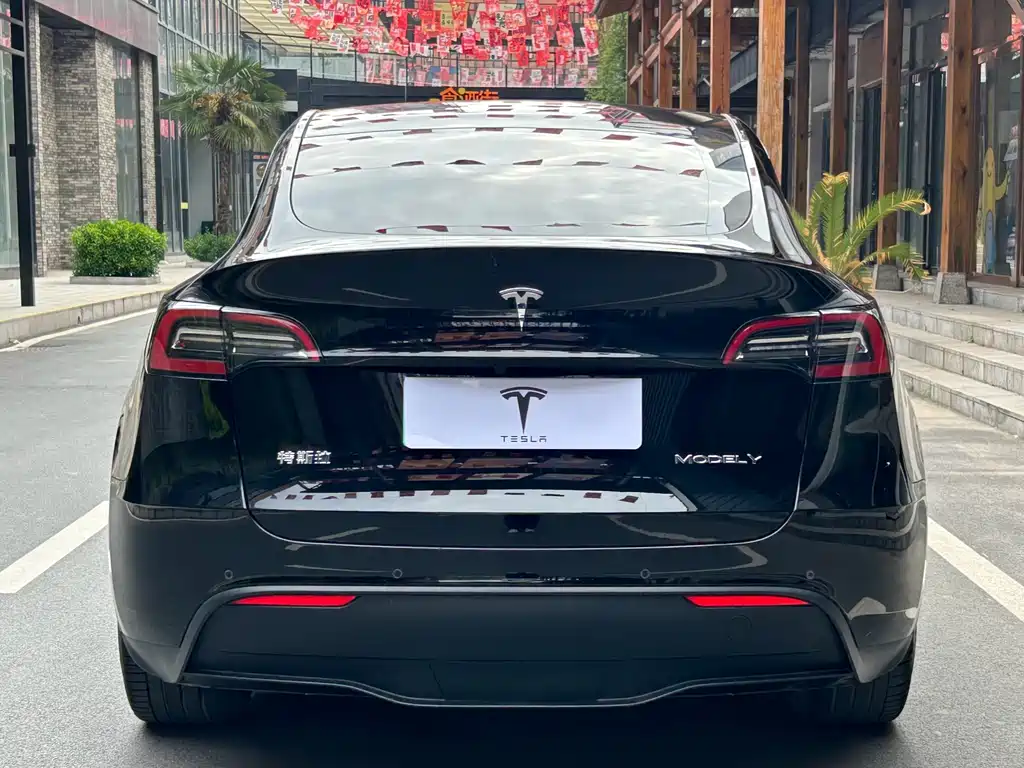 Tesla Model Y 2021 — фото 20