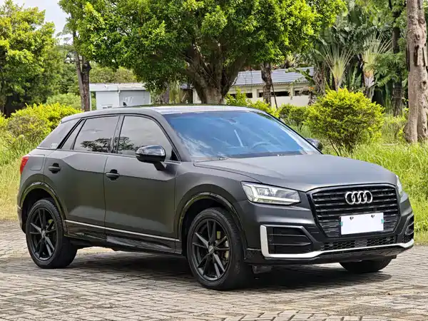 Audi Q2L 2020