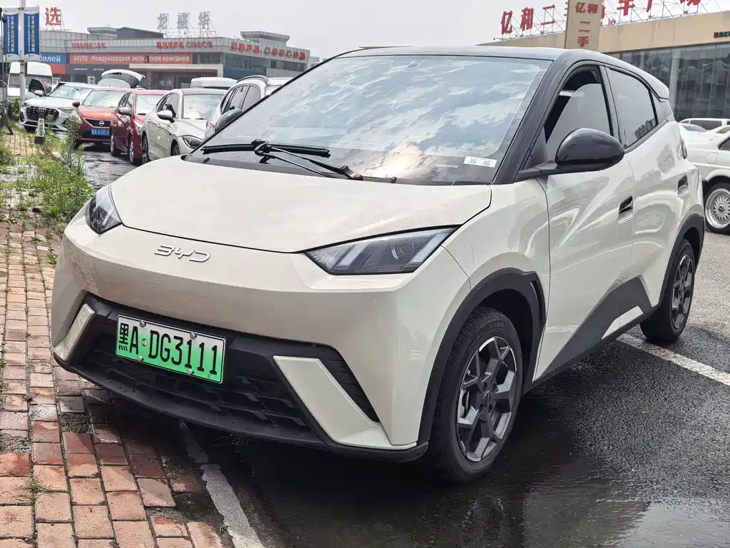 BYD Seagull 2024