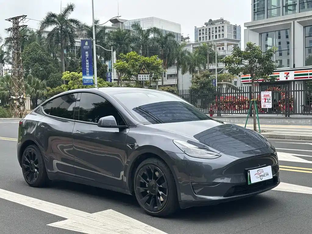 Tesla Model Y 2021 — фото 3