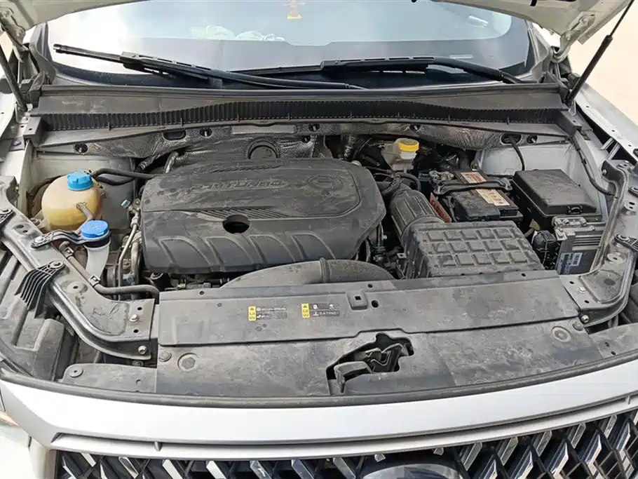 GAC Motor GS4 Plus 2023 — фото 10